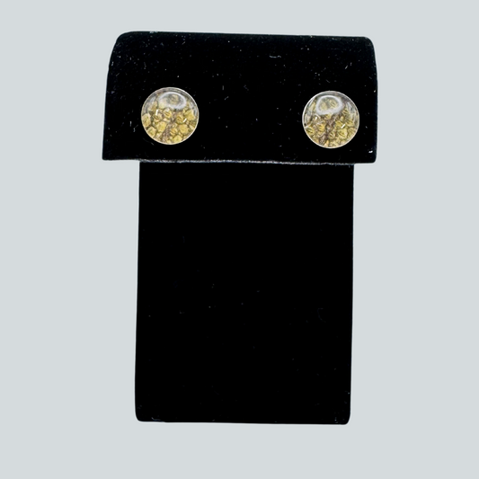 Black Cod Stud Earrings