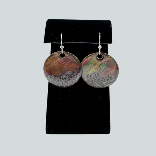 Rainbow Trout Northernlights Earrings