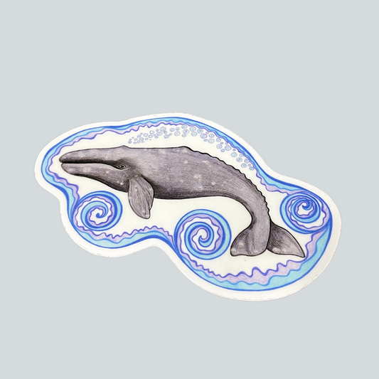 Male Gray Whale Sticker