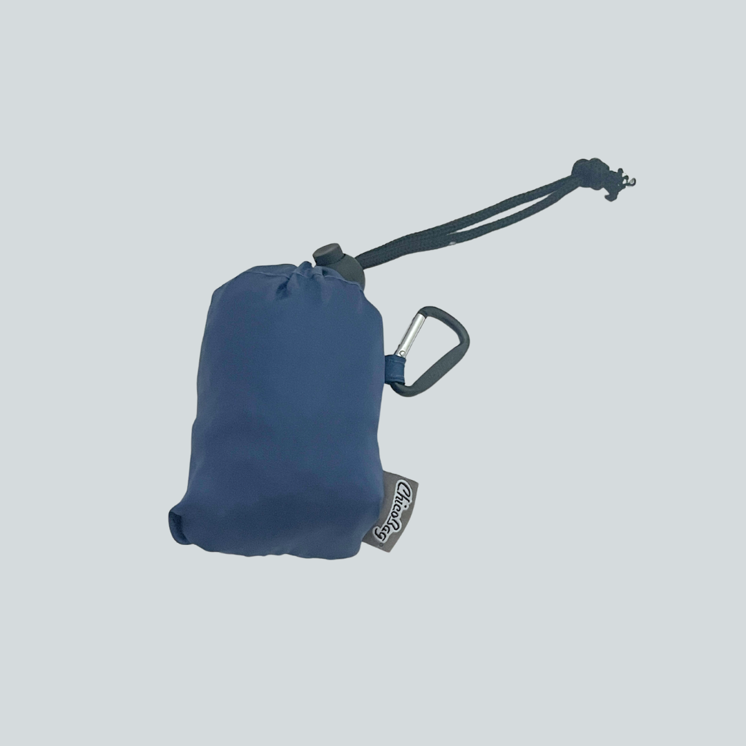 Chico Bags