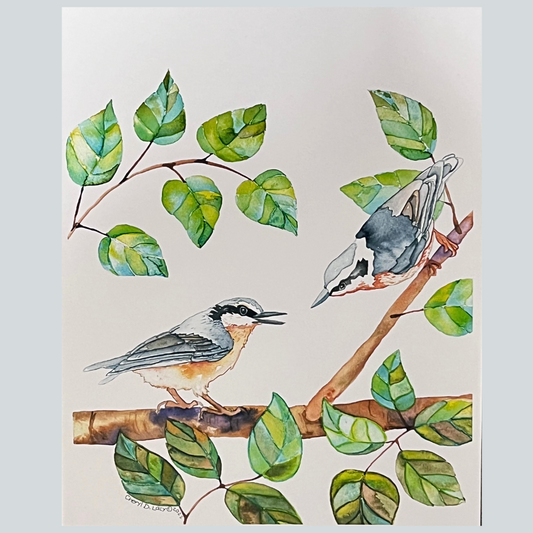 Nuthatch Love 8X10