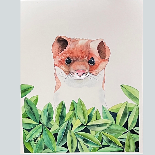 Lookout 8X10