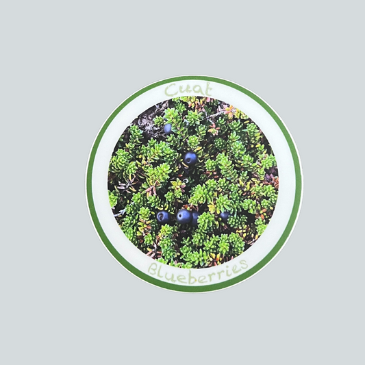 Cuat Sticker