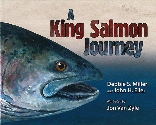 A King Salmon Journey