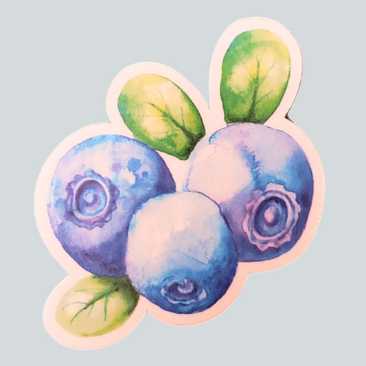 CL Lrg Blueberry Stickers