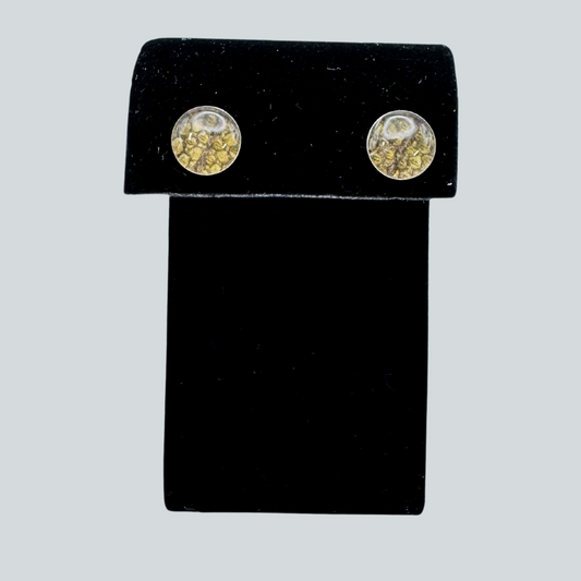 JPW-O $50 Black Cod Stud Earrings