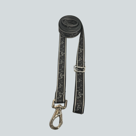 Dog Leash