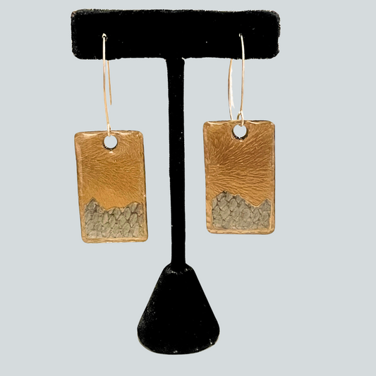 Silver Salmon Earrings