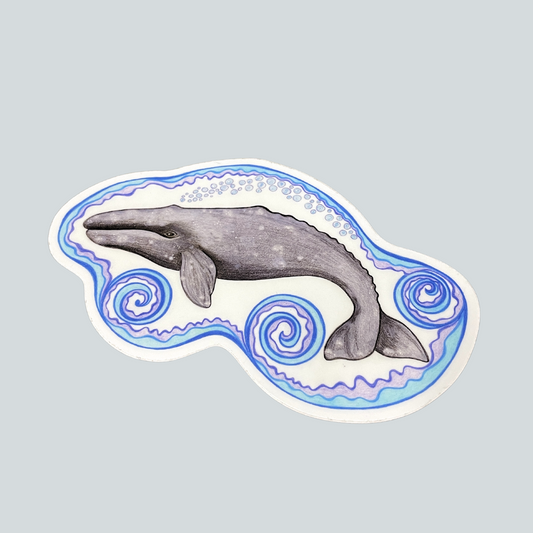 SS Male Gray Whale Sticker