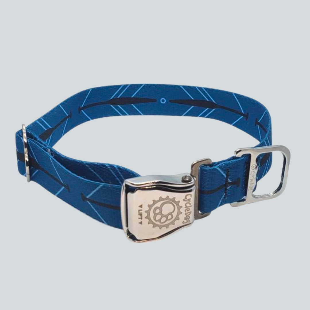 Paddle Dog Collar